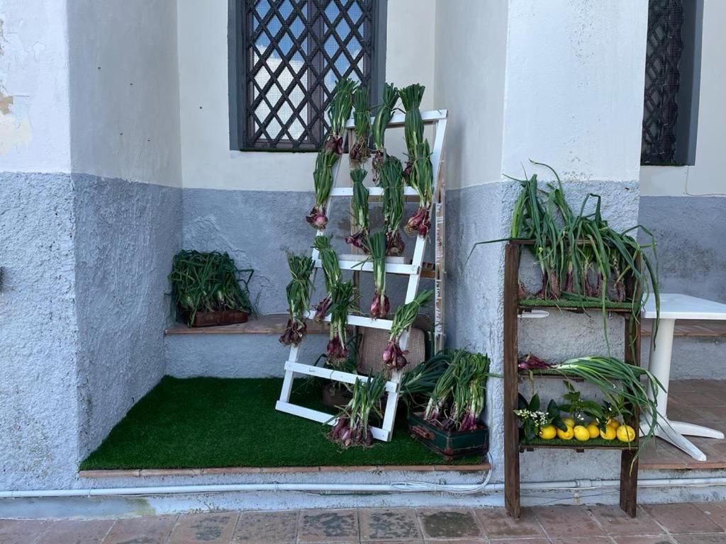 La Locanda Del Convento Tropea Kültér fotó